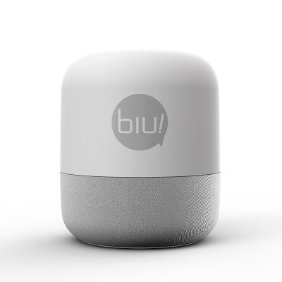 智能音箱IEC62368檢測(cè)報(bào)告